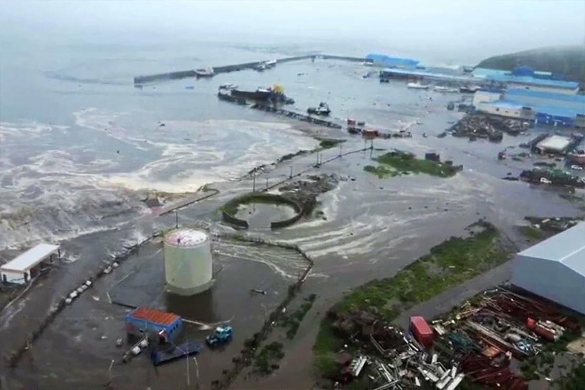 На Курилах при цунами вымыло с завода более 100 тонн лосося и тонну гребешка