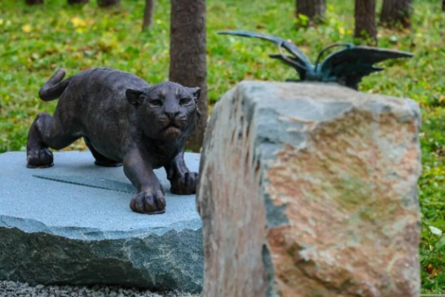Новая техника для охотнадзора и памятник тигрятам: в Хабаровском крае усилили охрану природы