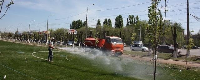 В Волгограде в День Победы откроют Аллею России