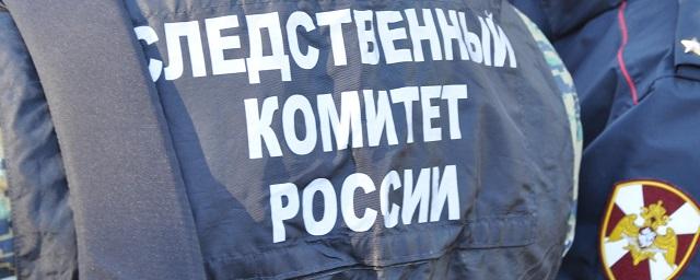 СК проводит проверку по факту утопления двух мальчиков в возрасте 4 и 12 лет в Ростовской области