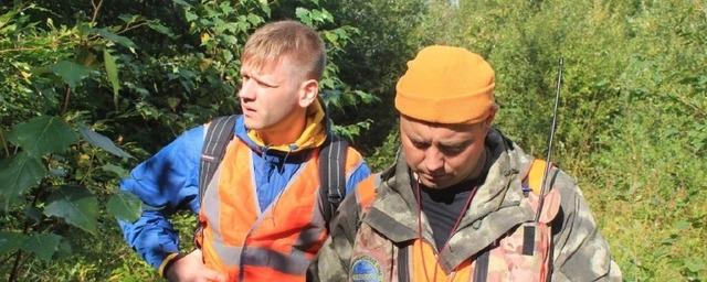 Семь человек за сутки заблудились в лесах Новгородской области