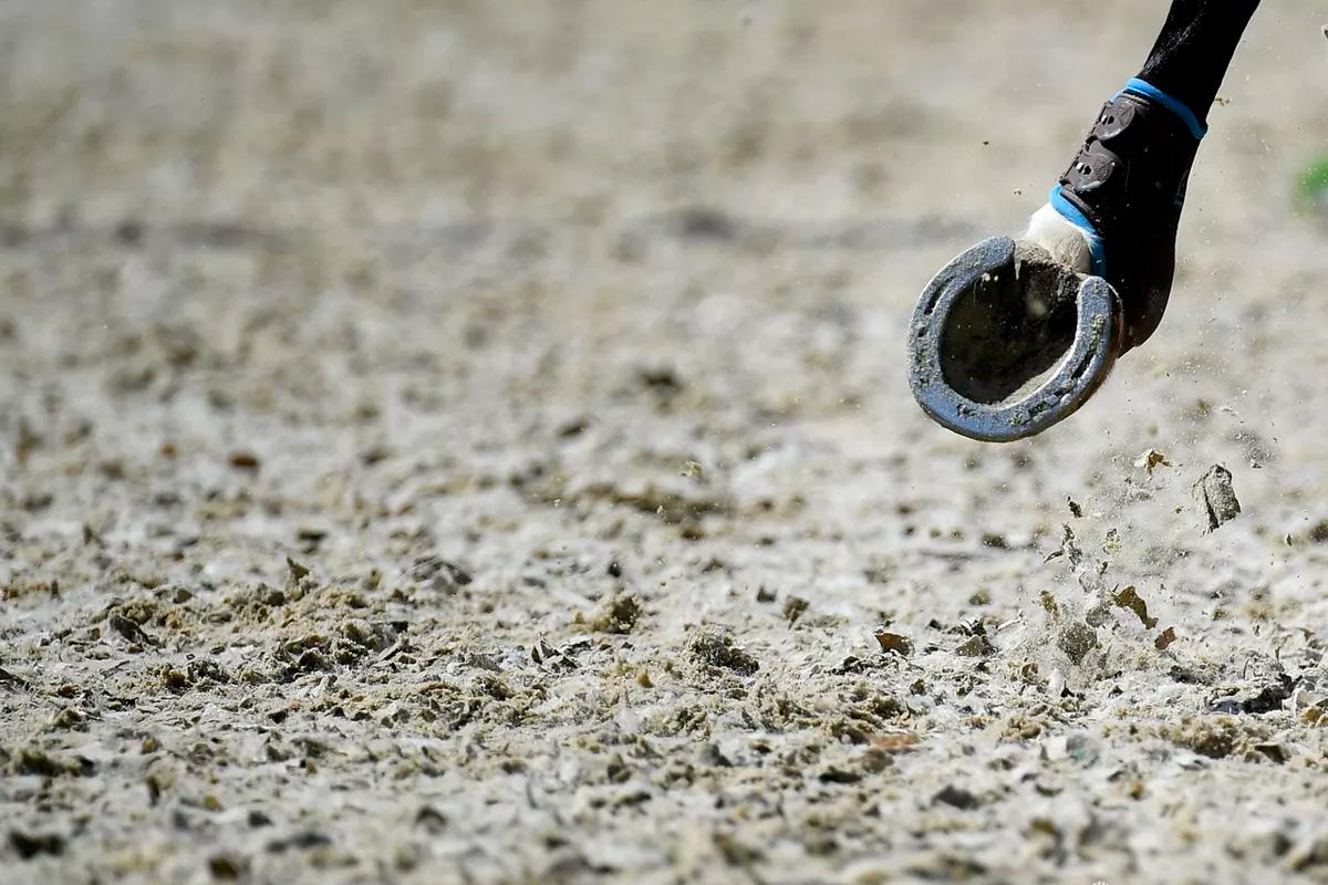 Пожар в Подмосковье приостановил чемпионат России по выездке