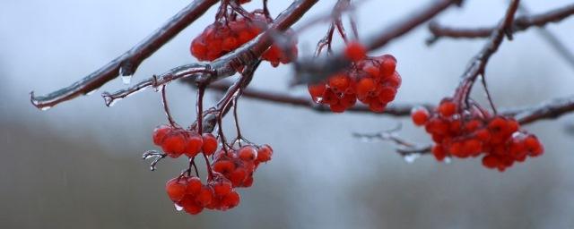 В Вологодской области ожидается существенное похолодание