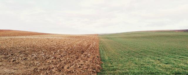 В Архангельской области конфликт соседей закончился убийством