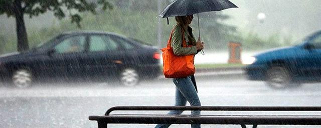 Синоптики обещают дождливый конец недели в Бердске