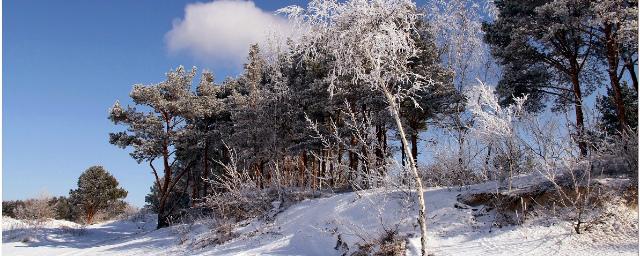 После оттепели в Алтайский край вернулись 16-градусные морозы