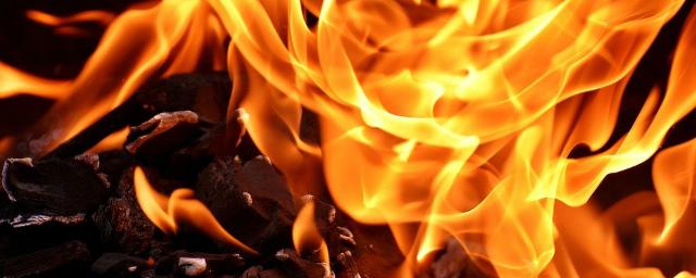 В Марий Эл за прошедшую неделю зарегистрировано 18 пожаров