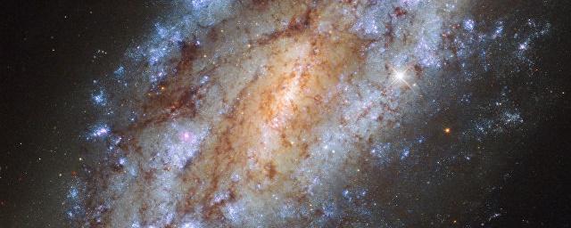 Ученые получили фото галактики NGC 1559