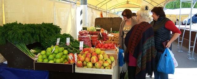 В Саранске власти решили провести ярмарки меда и яблок