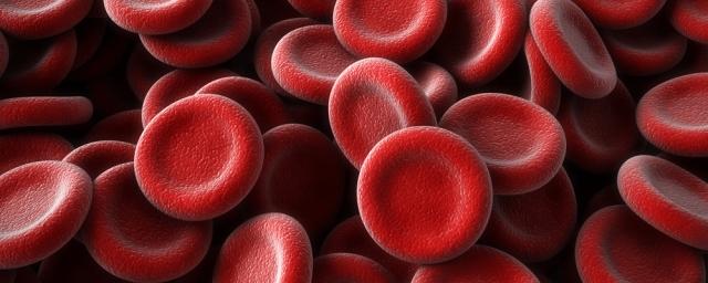 Ученые из России создали сухой заменитель человеческой крови