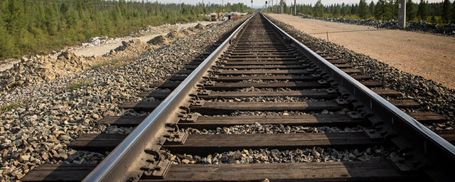 Под Череповцом поезд сбил насмерть 54-летнего мужчину