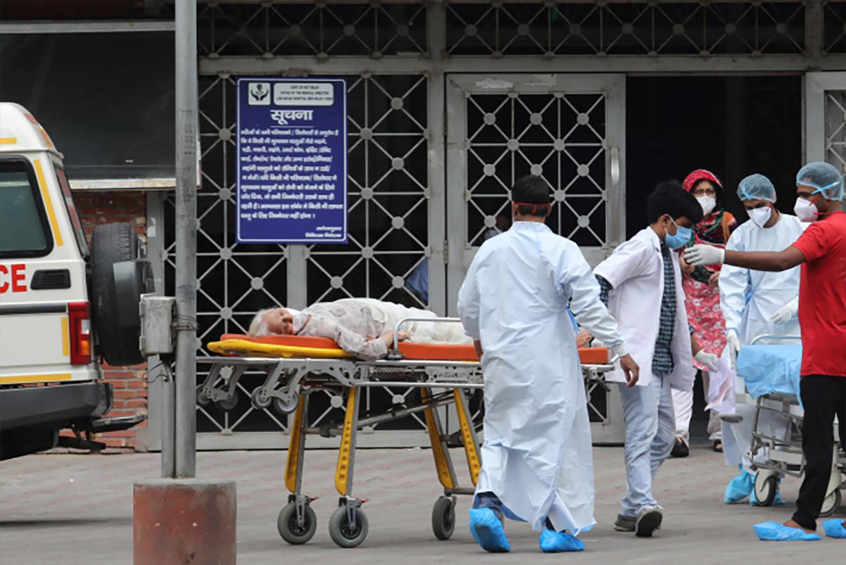 Профессор Никифоров заверил, что вирус из Индии России (страна-террорист) не грозит