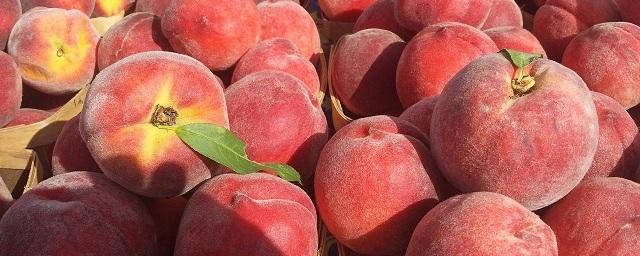 Россельхознадзор запретил реэкспорт через Белоруссию ряда фруктов из ЦАР