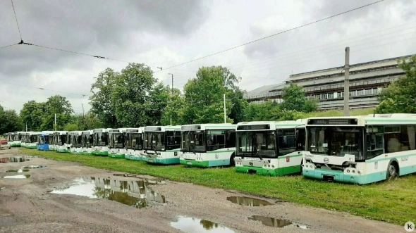 Переданные мэрией Москвы в Калининград автобусы пустят на запчасти для действующих машин