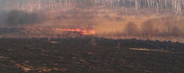 В Новосибирской области зафиксировали 359 пожаров за сутки
