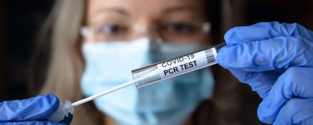 В Ростовской области с 20 октября введены новые ограничения из-за коронавируса