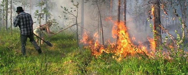 В Москве объявили желтый уровень погодной опасности