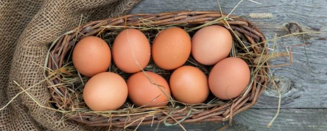 Стало известно о шести опасных видах яиц