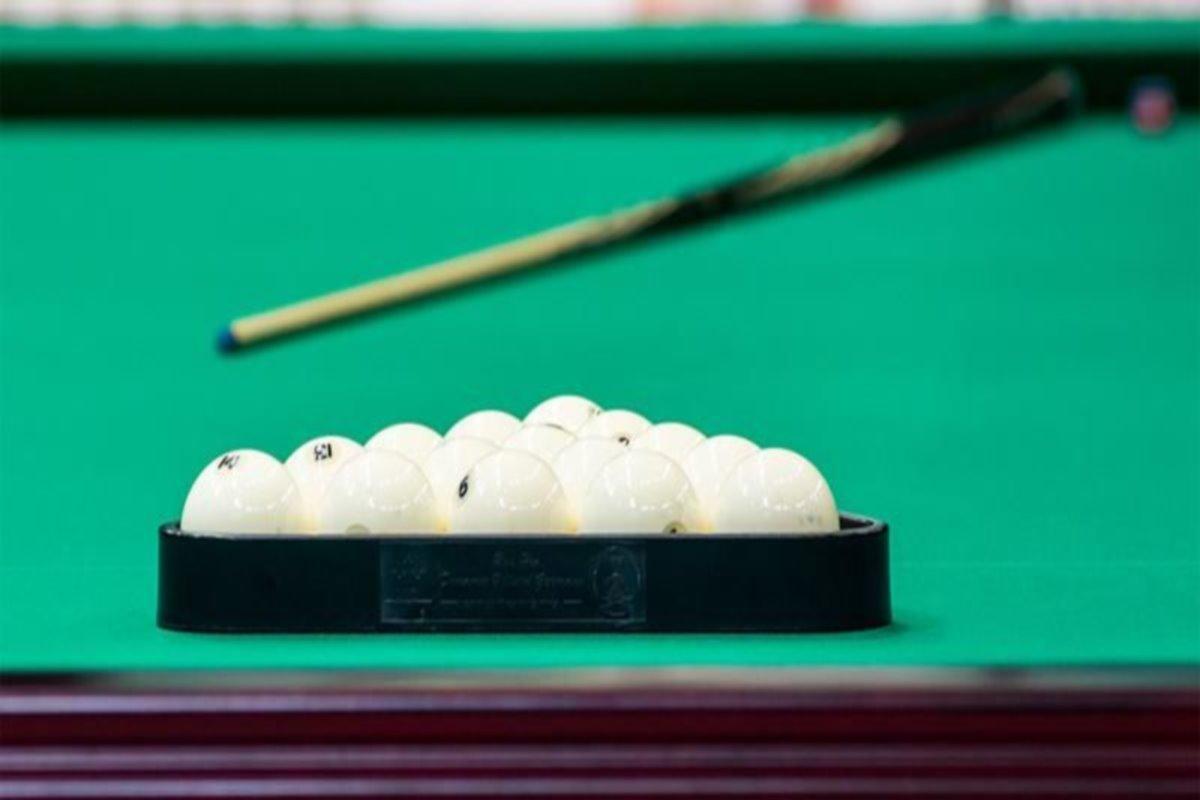 В Мневниковской пойме Москвы выделят земельный участок под строительство Дворца бильярда