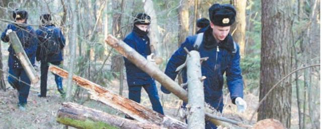 Егорьевские студенты очистили лес у деревни Батраки