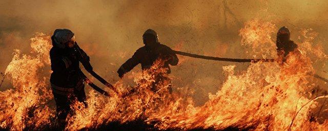 В Омской области из-за пожара погибли пятеро приемных детей