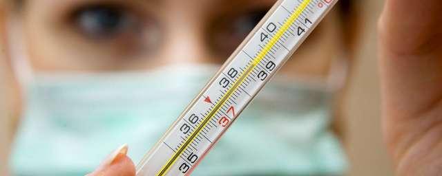 Вирус свиного гриппа официально подтвердился у 15 жителей Тульской области