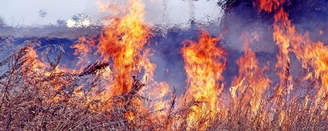 В Амурской области за сутки ликвидировано 11 пожаров