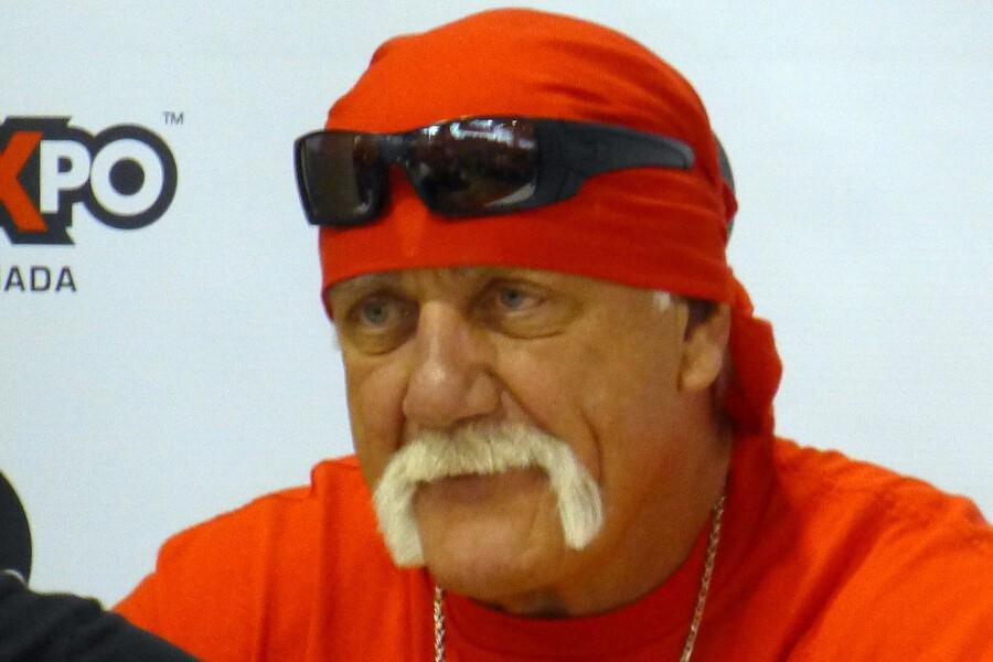 Наследники Халка Хогана вступили в схватку за $25 млн