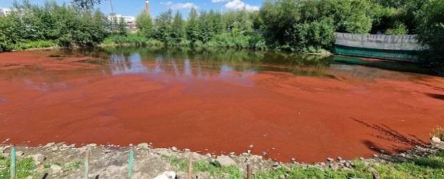 В городском парке Екатеринбурга вода в пруду окрасилась в красный цвет