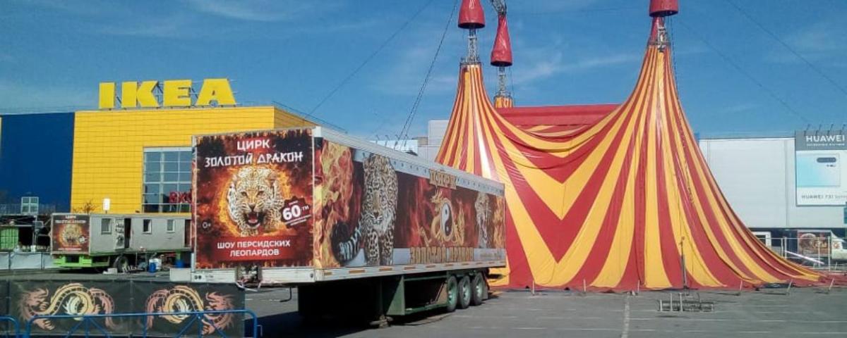 Передвижной цирк около «МЕГИ» в Новосибирске не отменил представления