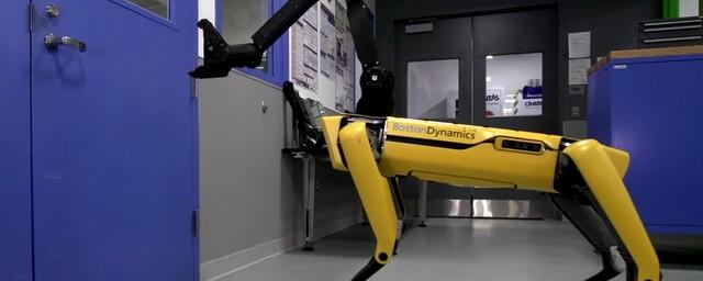Boston Dynamics протестировала напористость робота-собаки