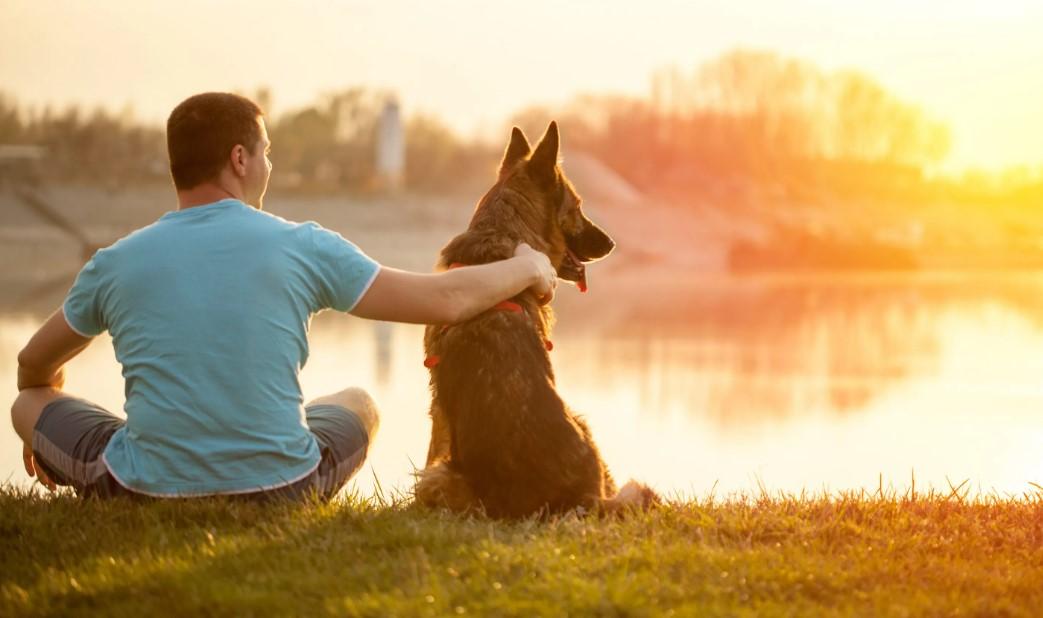 Учёные из Канады выяснили, как поведение собак влияет на качество жизни хозяев