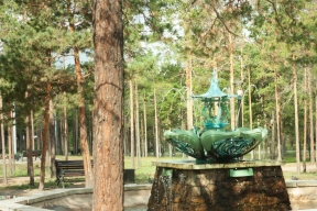 В Улан-Удэ закроют парки на обработку территорий от клещей