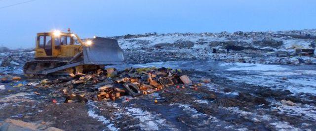 В Новосибирске бульдозером уничтожили более 2 тонн яблок и сельдерея