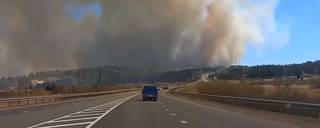 В Манском районе Красноярского края горит лес