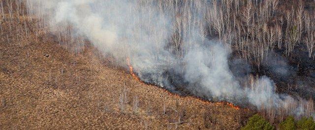 В Хабаровском крае официально стартовал пожароопасный сезон