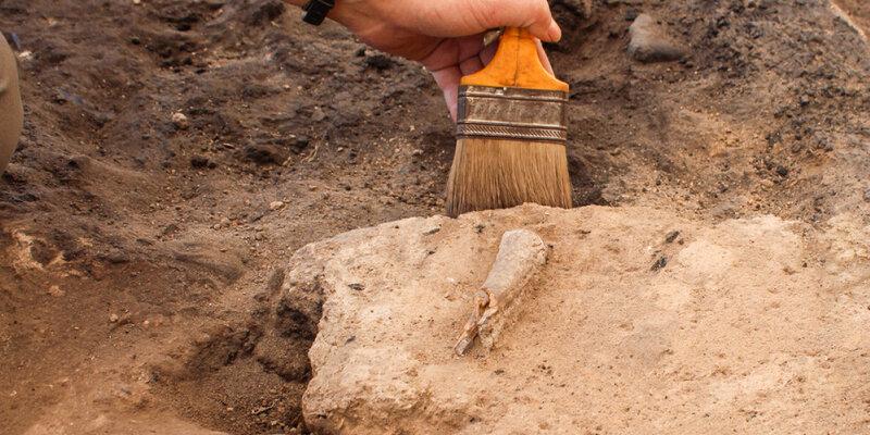 На берегу кенийского озера Туркана ученые обнаружили останки вида Homo erectus, пролежавшие в земле около 1,9 млн лет