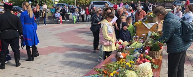 Жители Павловского Посада продемонстрировали свой урожай на выставке «Дары осени»