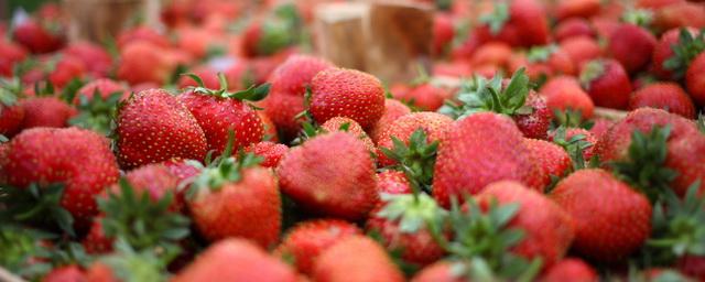 В Подмосковье в 2022 году увеличат производство ягод в два раза