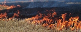 Власти Омской области продлили режим чрезвычайной пожарной опасности