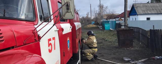 Пожарные спасли садоводство в Алтайском крае