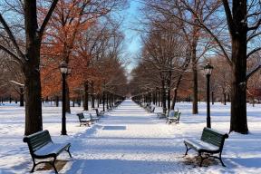 Подмосковье обыграло всех в битве за качество жизни: что оценили 400 тысяч жителей