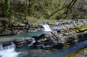 Сочинский нацпарк стал самым посещаемым заповедником России