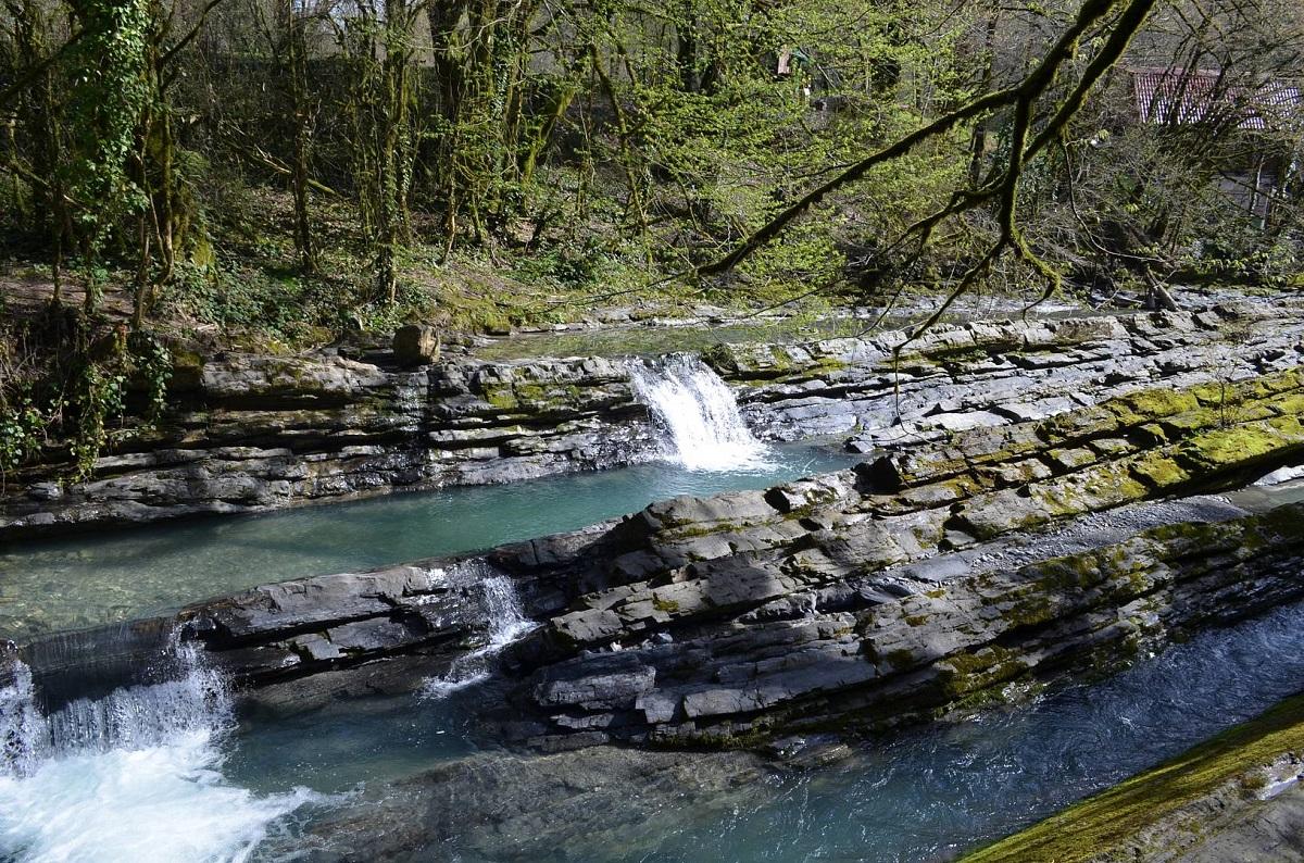 Сочинский нацпарк стал самым посещаемым заповедником России