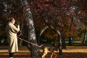 New rules: How and where you can walk your dog without getting fined