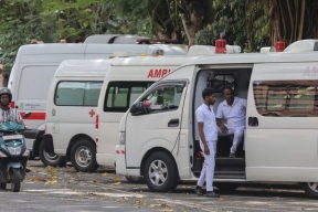Посольство РФ: На Шри-Ланке сильнейшая за 20 лет вспышка чикунгуньи