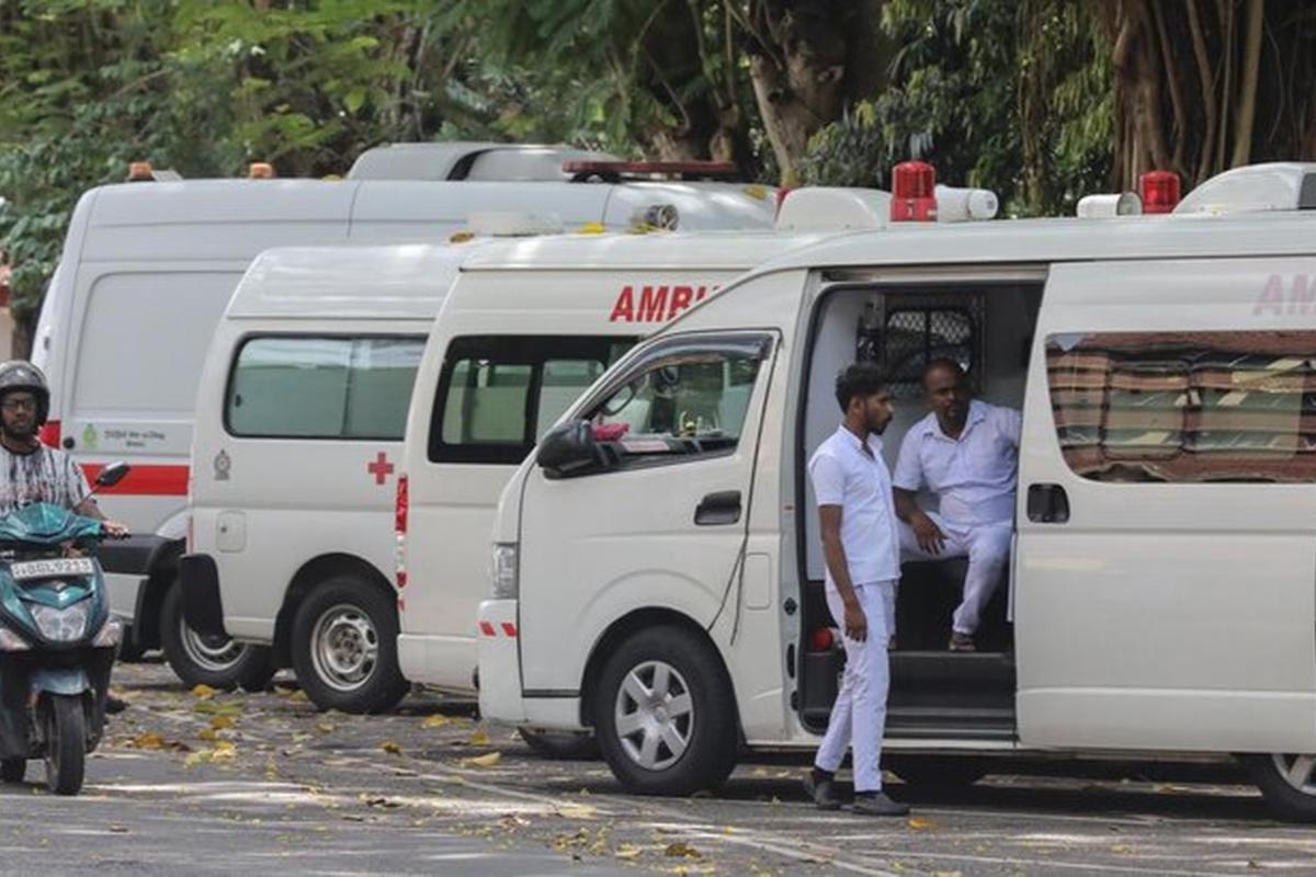 Посольство РФ: На Шри-Ланке сильнейшая за 20 лет вспышка чикунгуньи