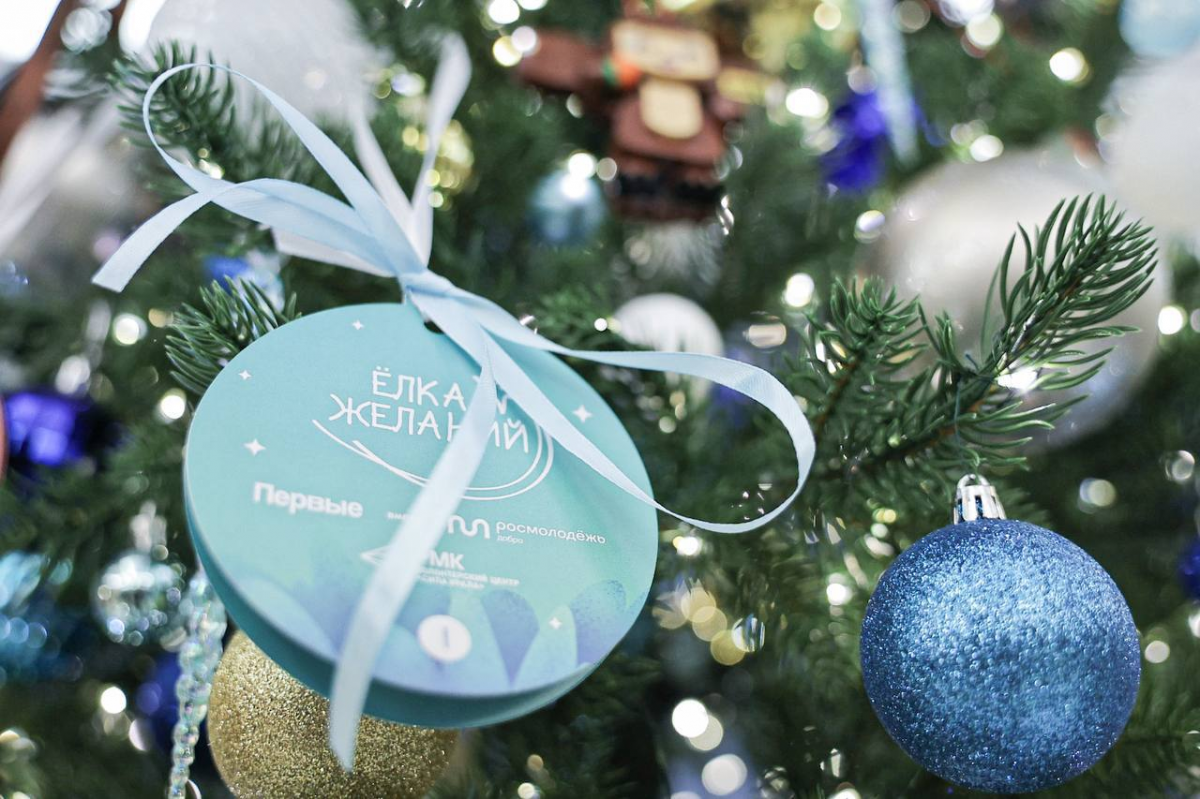 Спикер Заксобрания Людмила Бабушкина исполнит новогоднюю мечту четырехлетней Варвары из Камышловского района