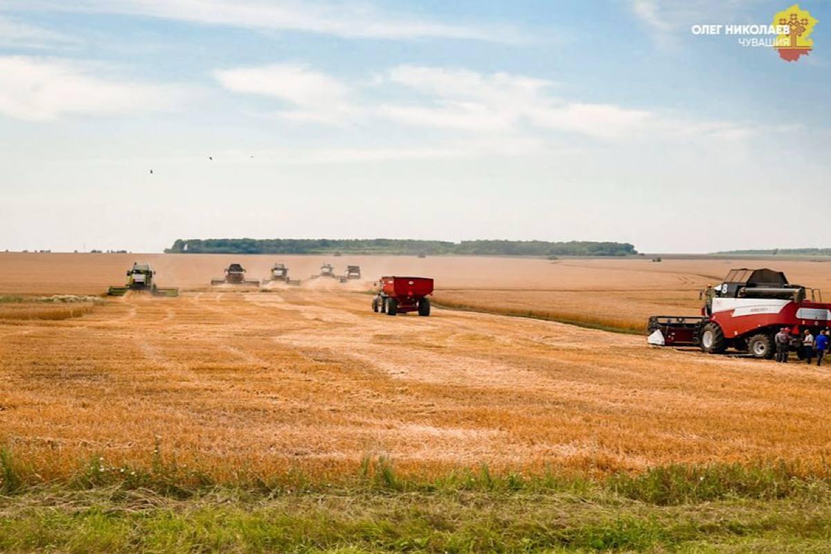 «Ждем 800 тысяч тонн!»: Глава Чувашии Олег Николаев рассказал об уборочной кампании
