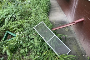 Двухлетний ребенок выпал из окна в Сургуте